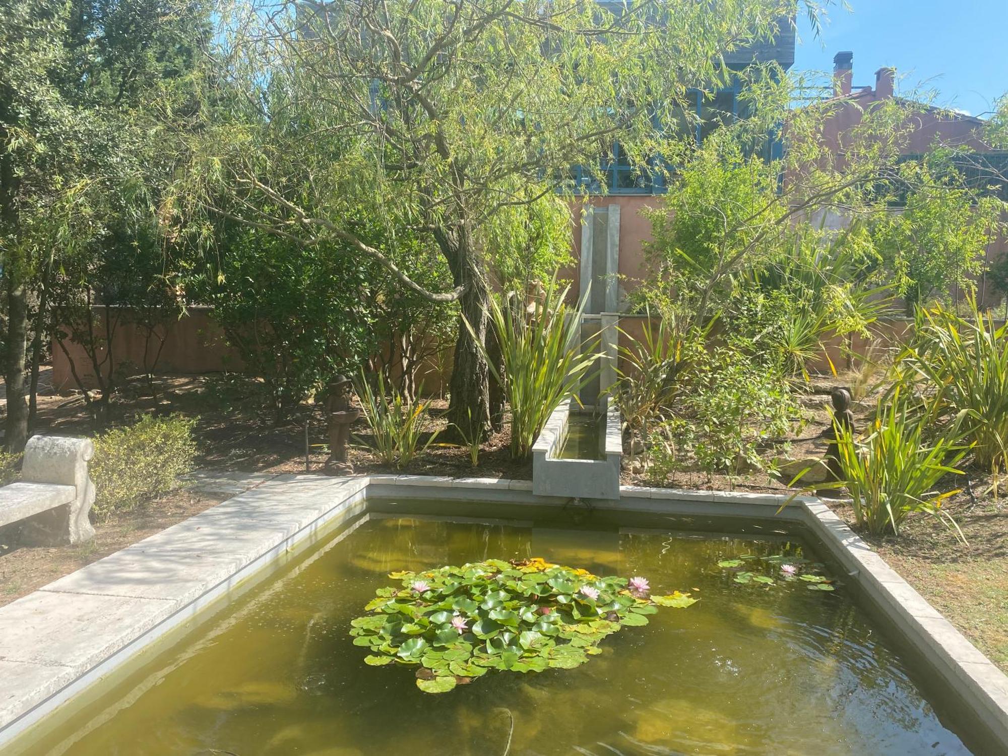 帕拉亚L'Hacienda Francesa住宿加早餐旅馆 外观 照片